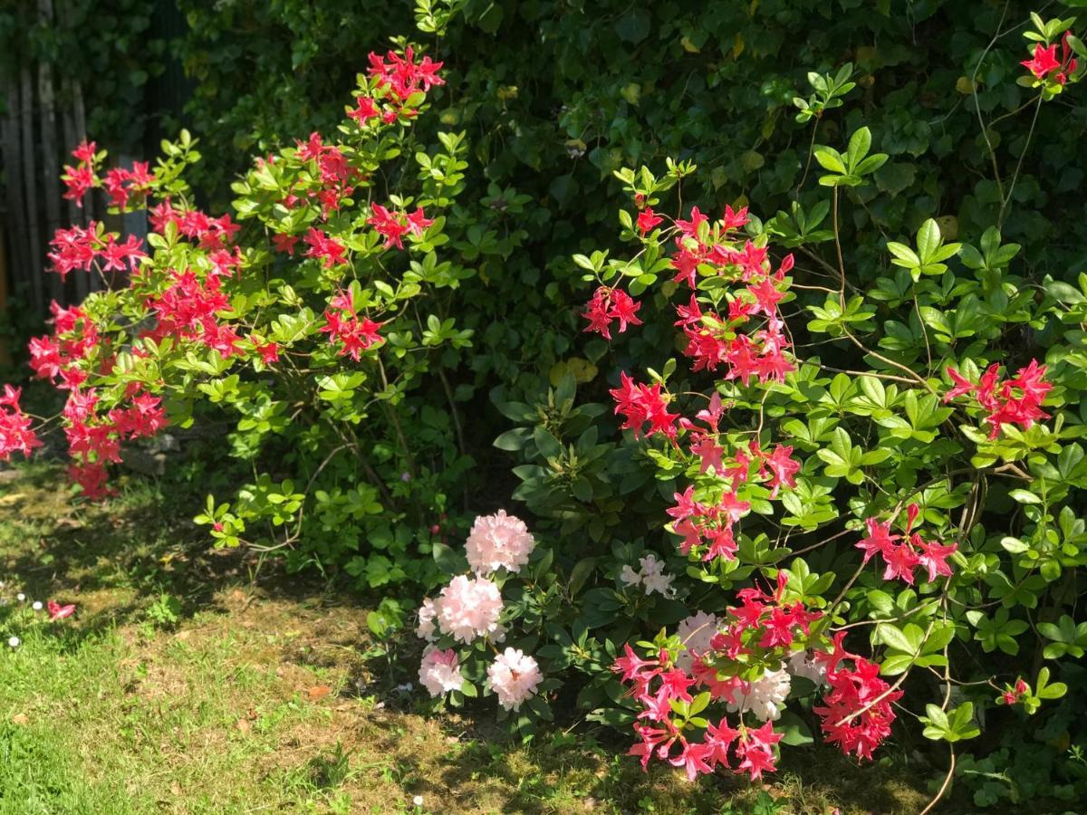 Nurlu Chambre D'Hotes "Coquelicot" מראה חיצוני תמונה